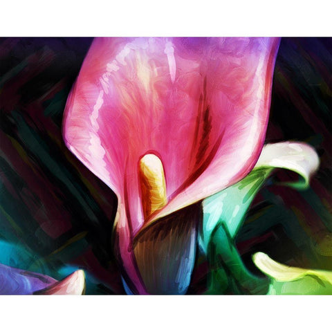 Bright Calla Lilies Black Modern Wood Framed Art Print by Villa, Mlli