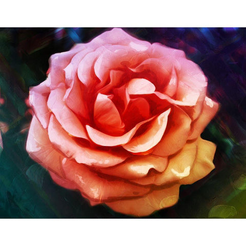 Bright Rose Gold Ornate Wood Framed Art Print with Double Matting by Villa, Mlli