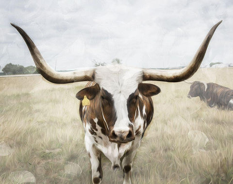 Steer the Herd White Modern Wood Framed Art Print with Double Matting by Villa, Milli