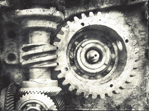 Industrial Close Up Black Ornate Wood Framed Art Print with Double Matting by Villa, Mlli