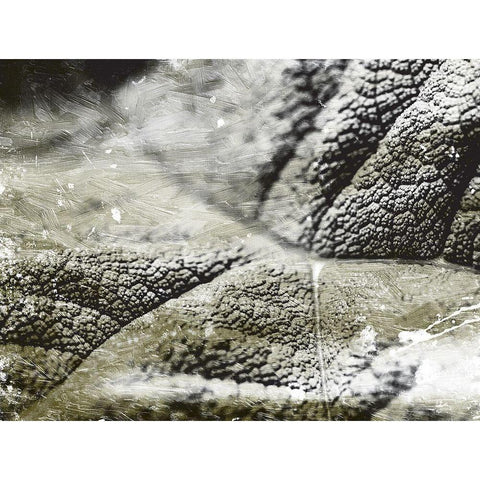 Charcoal Leaves Black Modern Wood Framed Art Print with Double Matting by Villa, Mlli