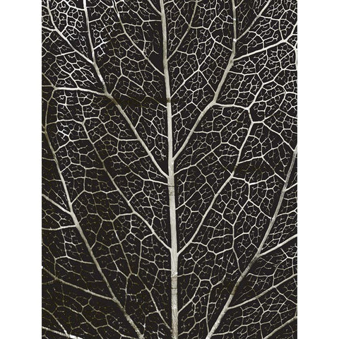 Charcoal Leaf Grain Gold Ornate Wood Framed Art Print with Double Matting by Villa, Mlli