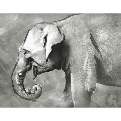 Charcoal Elephant Black Modern Wood Framed Art Print with Double Matting by Villa, Mlli