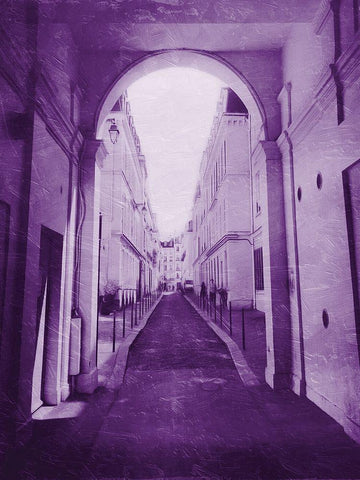 Next Violet Block Black Ornate Wood Framed Art Print with Double Matting by Villa, Mlli