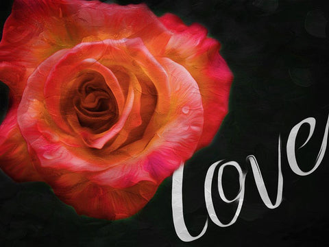 Love Flower Black Ornate Wood Framed Art Print with Double Matting by Villa, Mlli