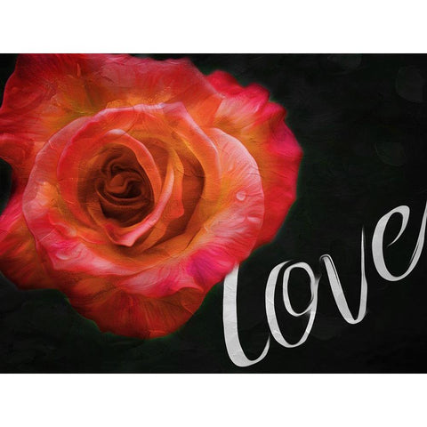 Love Flower Gold Ornate Wood Framed Art Print with Double Matting by Villa, Mlli