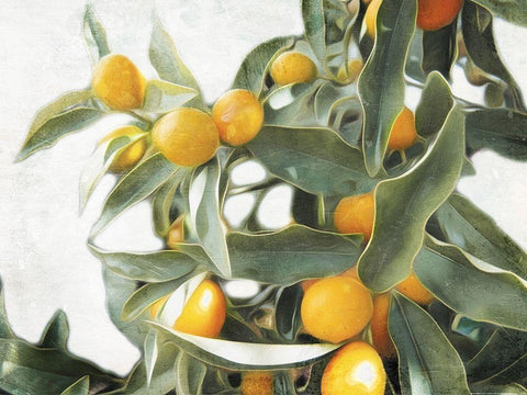 Lemons White Modern Wood Framed Art Print with Double Matting by Villa, Mlli