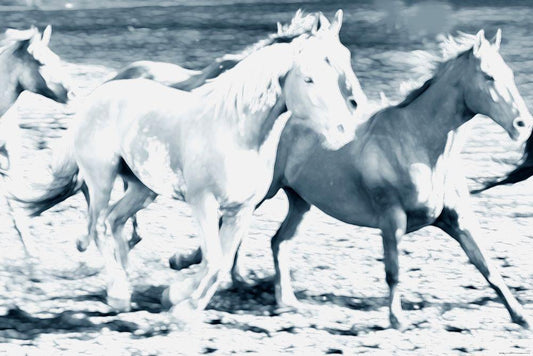 Image Only