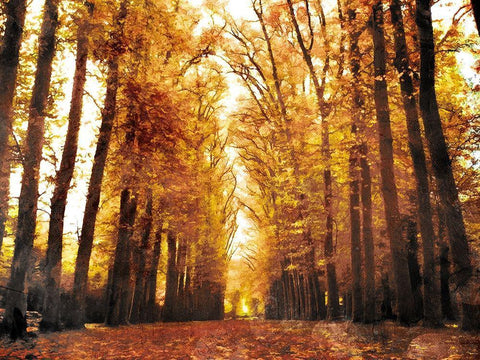 Fallow Your Path Black Ornate Wood Framed Art Print with Double Matting by Villa, Mlli