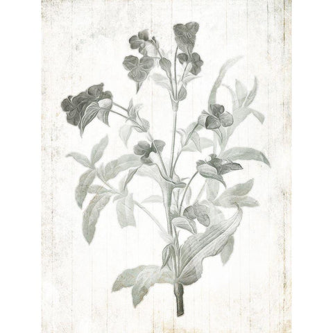 Soft Flowers On Wood Black Modern Wood Framed Art Print with Double Matting by Villa, Mlli