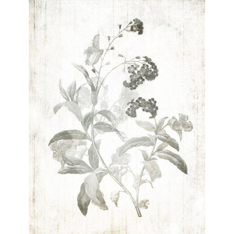 Soft Flowers On Wood Mate Gold Ornate Wood Framed Art Print with Double Matting by Villa, Mlli