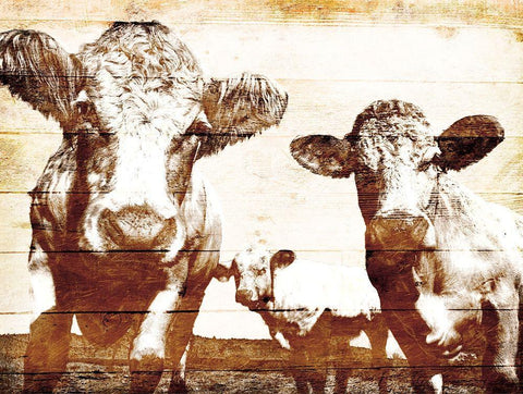 Cow Posse Black Ornate Wood Framed Art Print with Double Matting by Villa, Mlli