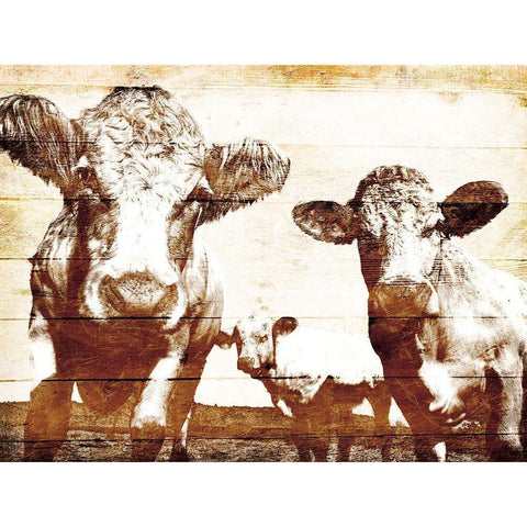 Cow Posse Black Modern Wood Framed Art Print by Villa, Mlli