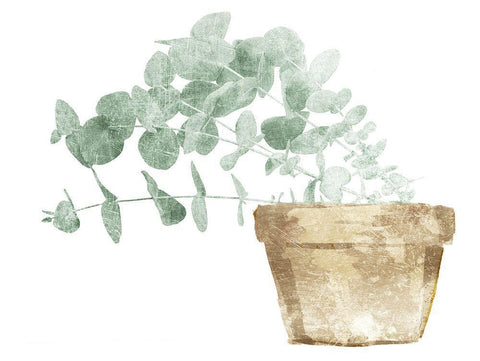 Eucalyptus Planted Mate White Modern Wood Framed Art Print with Double Matting by Villa, Mlli