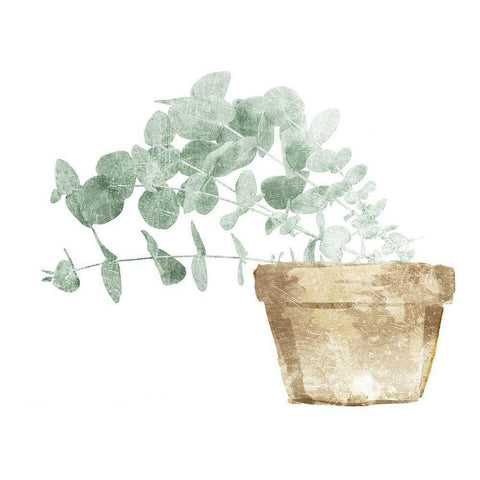 Eucalyptus Planted Mate White Modern Wood Framed Art Print by Villa, Mlli