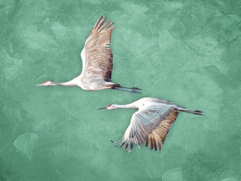 Fly Together White Modern Wood Framed Art Print with Double Matting by Villa, Mlli