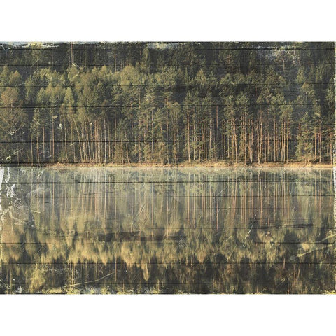 Through The Woods Black Modern Wood Framed Art Print with Double Matting by Villa, Mlli