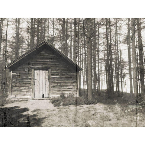 Cabin In The Woods Black Modern Wood Framed Art Print by Villa, Mlli