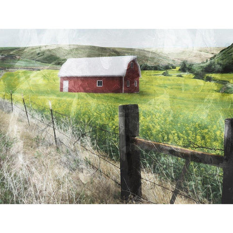 Look To The Farm White Modern Wood Framed Art Print by Villa, Mlli