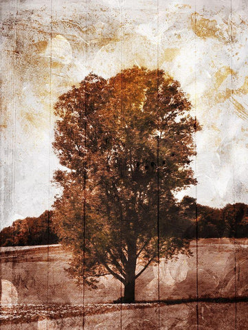 Lonely Fall Tree Black Ornate Wood Framed Art Print with Double Matting by Villa, Mlli