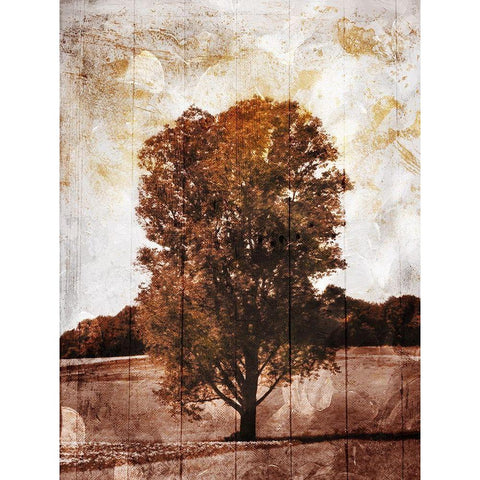 Lonely Fall Tree White Modern Wood Framed Art Print by Villa, Mlli