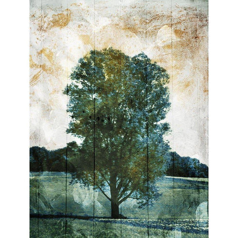 Lonely Tree Black Modern Wood Framed Art Print with Double Matting by Villa, Mlli