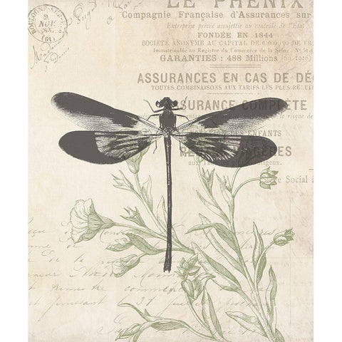 Lightened Vintage Insects Gold Ornate Wood Framed Art Print with Double Matting by Villa, Mlli