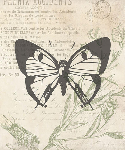 Lightened Vintage Insects Two White Modern Wood Framed Art Print with Double Matting by Villa, Mlli