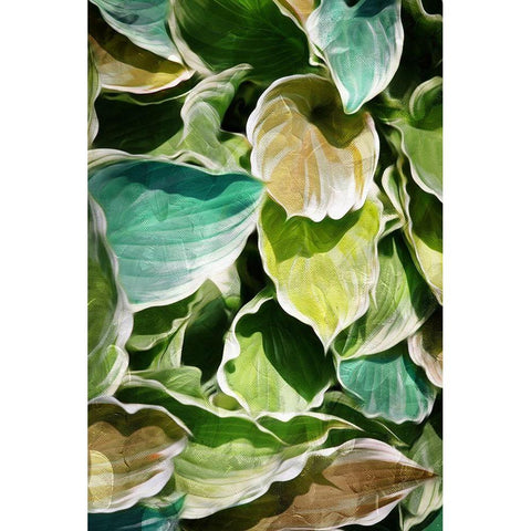 MultiColor Leaves White Modern Wood Framed Art Print by Villa, Milli