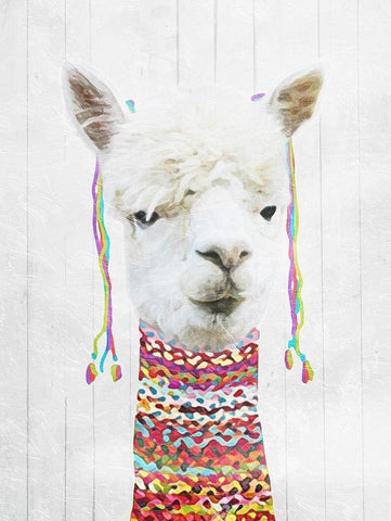 Dressed Llama Black Ornate Wood Framed Art Print with Double Matting by Villa, Mlli