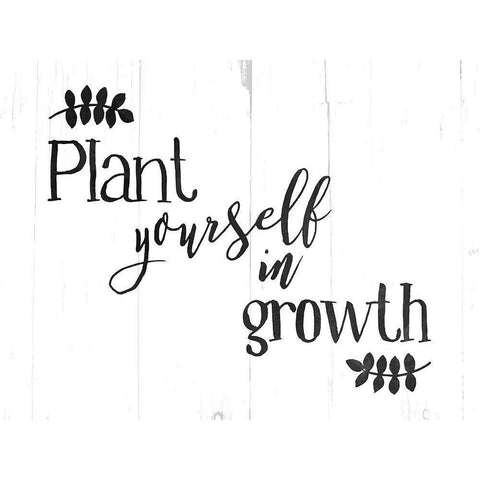 Plant Growth BW Black Modern Wood Framed Art Print with Double Matting by Villa, Mlli