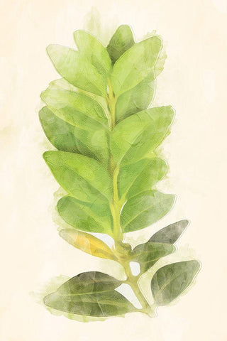 Green Leaves White Modern Wood Framed Art Print with Double Matting by Villa, Mlli