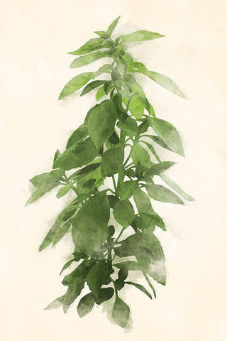 Green Leaves Mate White Modern Wood Framed Art Print with Double Matting by Villa, Mlli