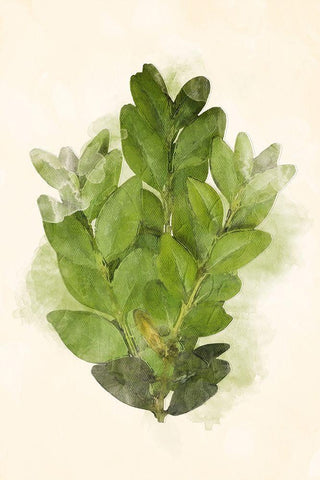 More Green Leaves Mate White Modern Wood Framed Art Print with Double Matting by Villa, Mlli