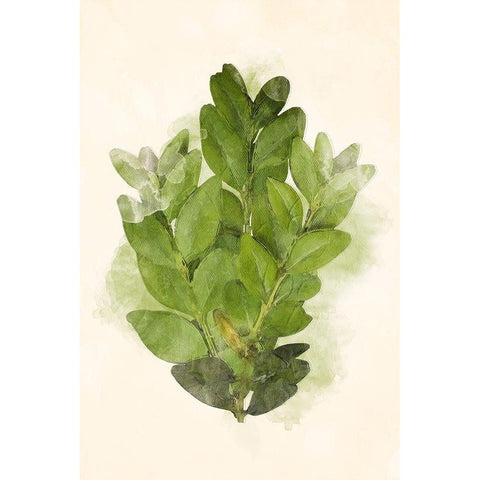 More Green Leaves Mate Black Modern Wood Framed Art Print with Double Matting by Villa, Mlli