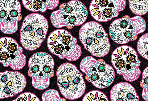 Pink Skulls Black Ornate Wood Framed Art Print with Double Matting by Villa, Mlli