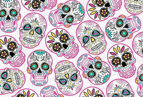 Pink Skulls Reverse Black Ornate Wood Framed Art Print with Double Matting by Villa, Mlli