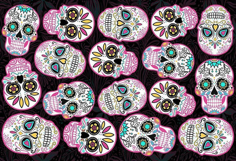 Pink Skulls Black Back White Modern Wood Framed Art Print with Double Matting by Villa, Mlli