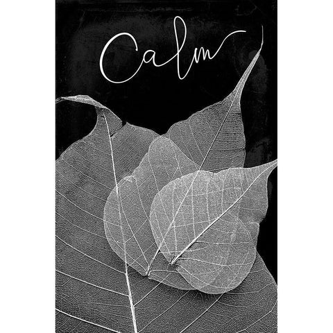 Calm Leaves White Modern Wood Framed Art Print by Villa, Mlli