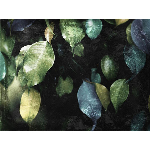 Hanging Leaves Black Modern Wood Framed Art Print with Double Matting by Villa, Mlli