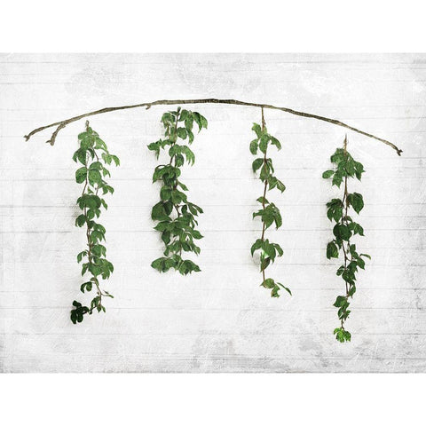 Hanging Leaves On Wall White Modern Wood Framed Art Print by Villa, Mlli