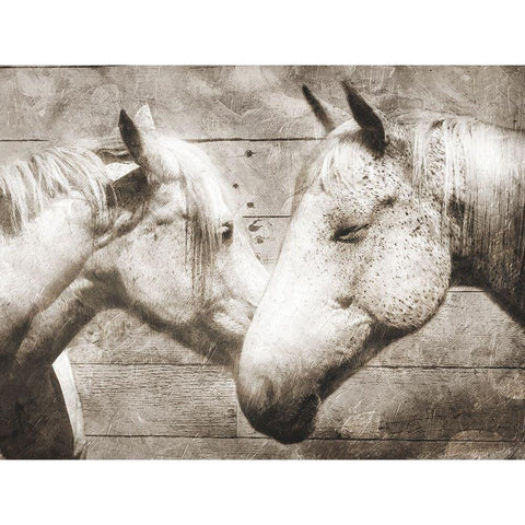 Love Horses Black Modern Wood Framed Art Print with Double Matting by Villa, Mlli