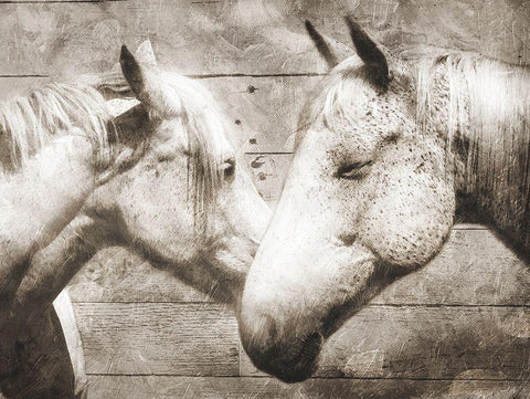 Love Horses White Modern Wood Framed Art Print with Double Matting by Villa, Mlli