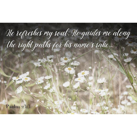 He Refreshes Black Modern Wood Framed Art Print with Double Matting by Villa, Mlli