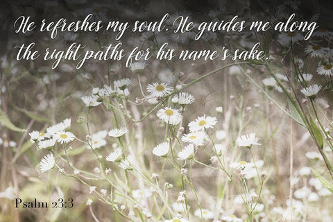 He Refreshes White Modern Wood Framed Art Print with Double Matting by Villa, Mlli