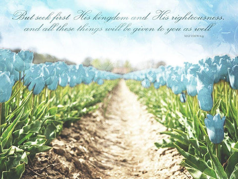 But Seek Black Ornate Wood Framed Art Print with Double Matting by Villa, Mlli