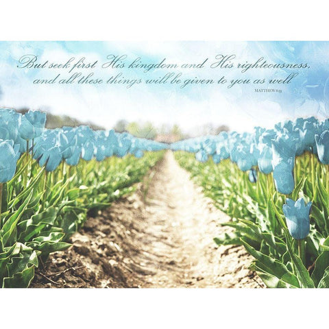 But Seek Black Modern Wood Framed Art Print by Villa, Mlli