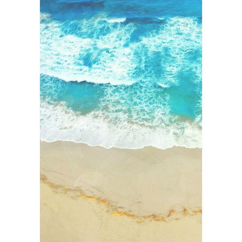 Take A Swim Gold Ornate Wood Framed Art Print with Double Matting by Villa, Mlli