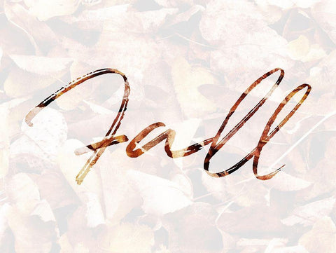 Fall Leaves Black Ornate Wood Framed Art Print with Double Matting by Villa, Mlli