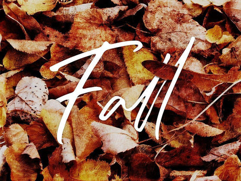 Fall White Modern Wood Framed Art Print with Double Matting by Villa, Mlli